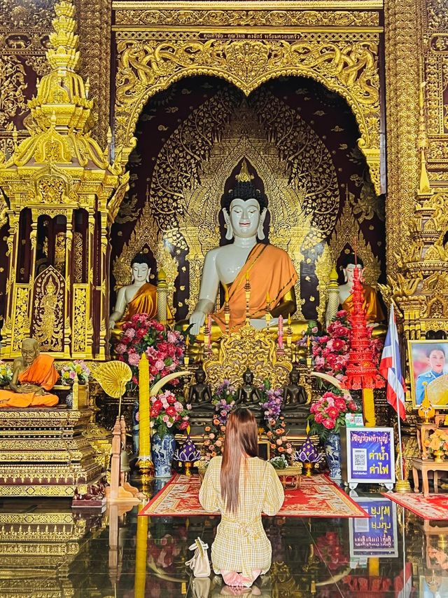 🙏 สายมูห้ามพลาด! ขอพรวัดดัง @วัดป่าแดด เชียงใหม่