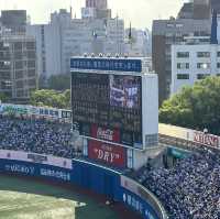 【横浜】台風一過の野球観戦・横浜スタジアム