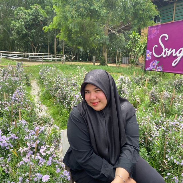 Songkhla Flower Farm สวนดอกไม้แห่งแรก สงขลา Songkhla Flower Farm สวนดอกไม้แห่งแรก สงขลา