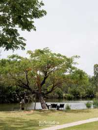 🌳Baanpat - บ้านพัฒก์ คาเฟ่ในตัวเมืองจังหวัดระยอง