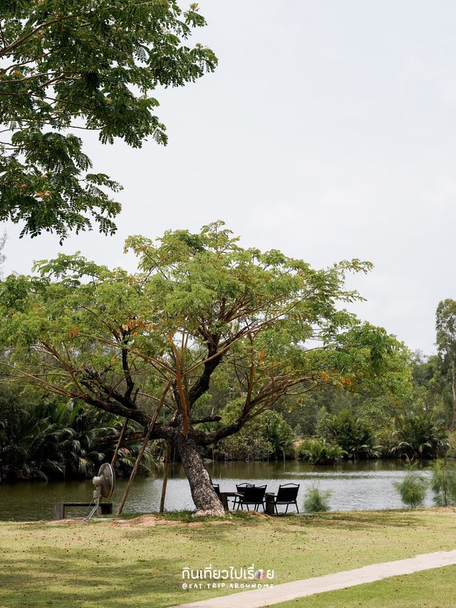 🌳Baanpat - บ้านพัฒก์ คาเฟ่ในตัวเมืองจังหวัดระยอง