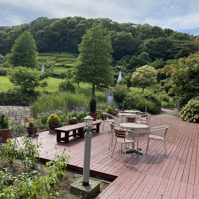 淡路島！海と山の絶景と玉ねぎだらけの淡路ハイウェイオアシス！
