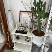 คาเฟ่ย่านตลาดพลู masonia tree & coffee cafe