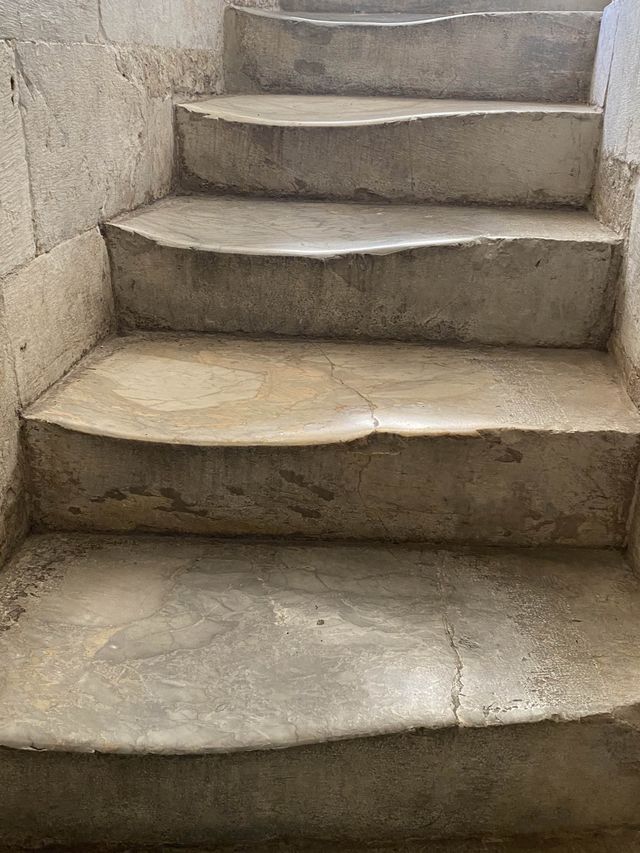 🇮🇹イタリア旅行　ピサ