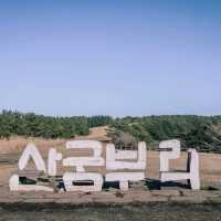 제주의 자연을 느끼려면? 산굼부리 ⛰️ 