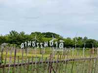 Café and Farm วิวดี ติดธรรมชาติ 