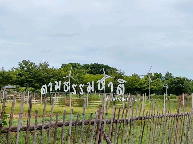 Café and Farm วิวดี ติดธรรมชาติ 