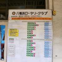 愛媛縣八幡濱Doya巿場炭火燒龍蝦