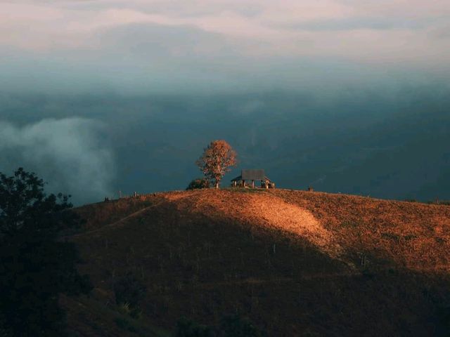 ดอยขุนคำ-ถนนลอยฟ้า แม่ลาน้อย