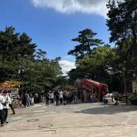 Natsu Matsuri(Summer Festival)🇯🇵🏯✨