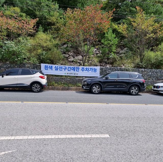 가을의 시작 억새보러가자