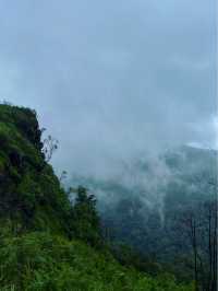 อุทยานแห่งชาติภูสอยดาว | Phu soi dao National Park