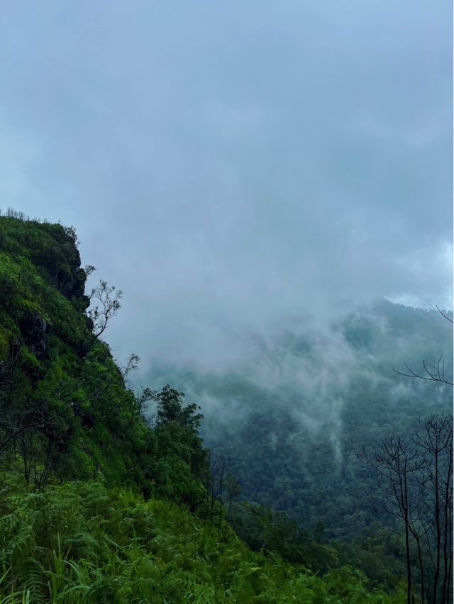 อุทยานแห่งชาติภูสอยดาว | Phu soi dao National Park