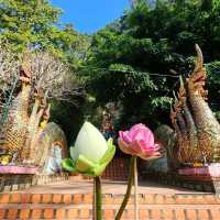 วัดพระธาตุดอยสุเทพราชวรวิหาร