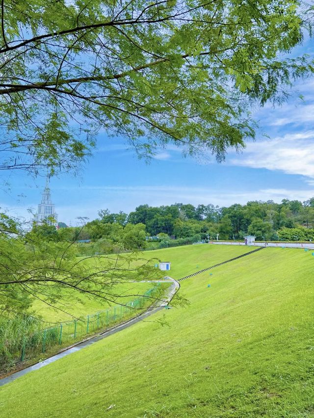 大運自然公園～與水鴨共度野餐樂趣🌳🦆🧺