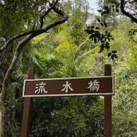 秋季遊🍂流水響