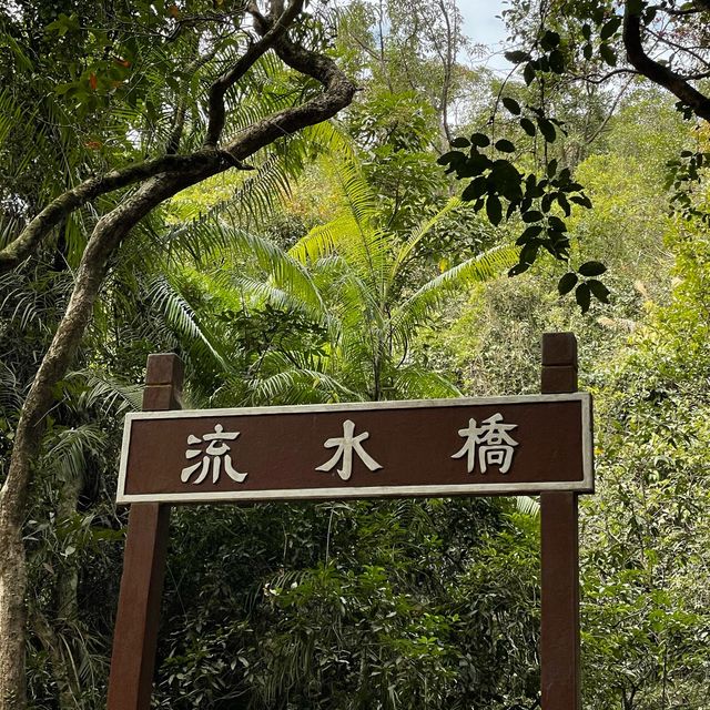 秋季遊🍂流水響