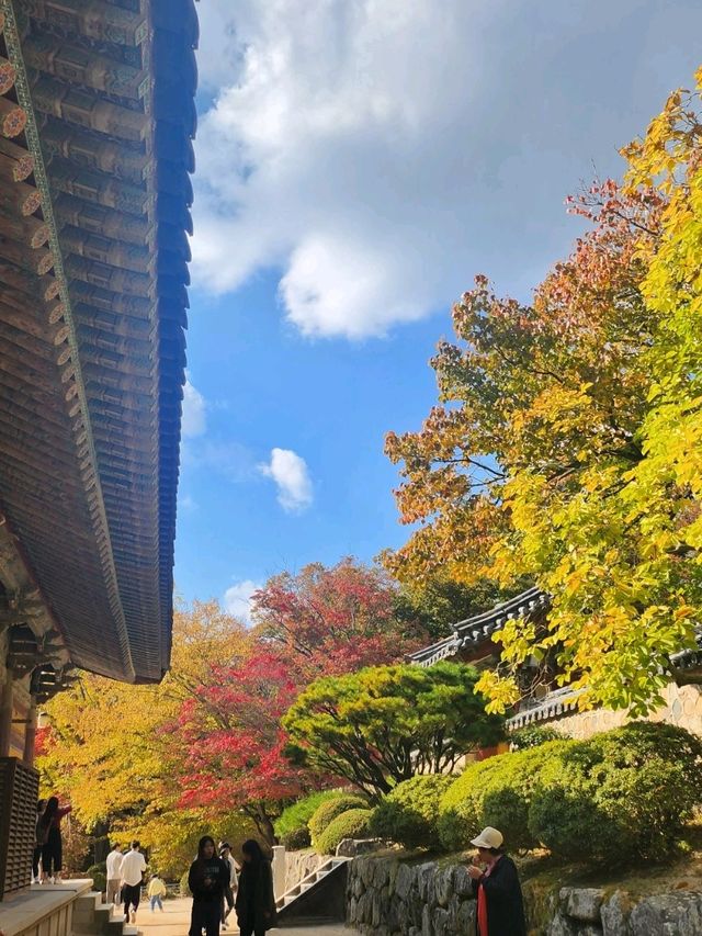 아름다운 도시 경주의 불국사를 소개합니다!