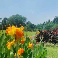 【インドネシア】壮大な植物園　“Kebun Raya Bogor”