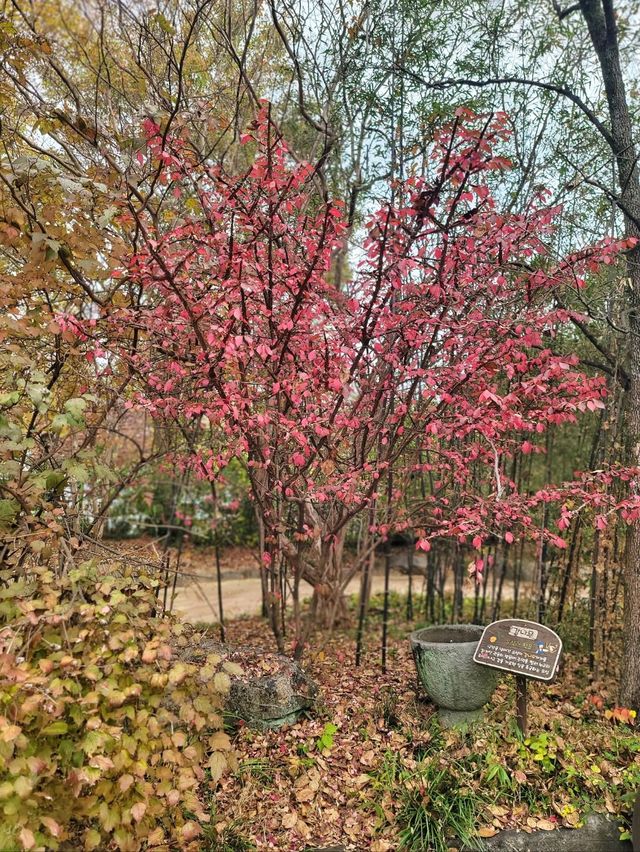 귀여운 전동차도 탈수 있는 경상남도 수목원🍂