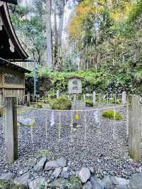 【京都府/貴船神社（奥宮）】龍穴のパワー渦巻く！