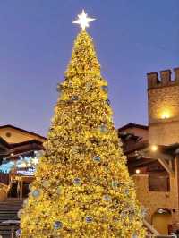 부산 화이트트리는 여기가 원탑🎄