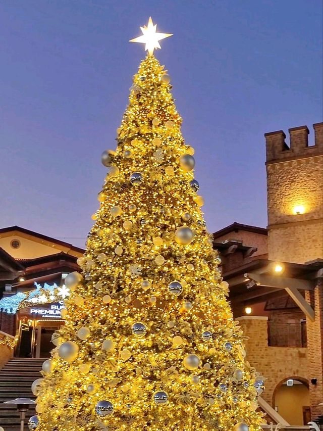 부산 화이트트리는 여기가 원탑🎄