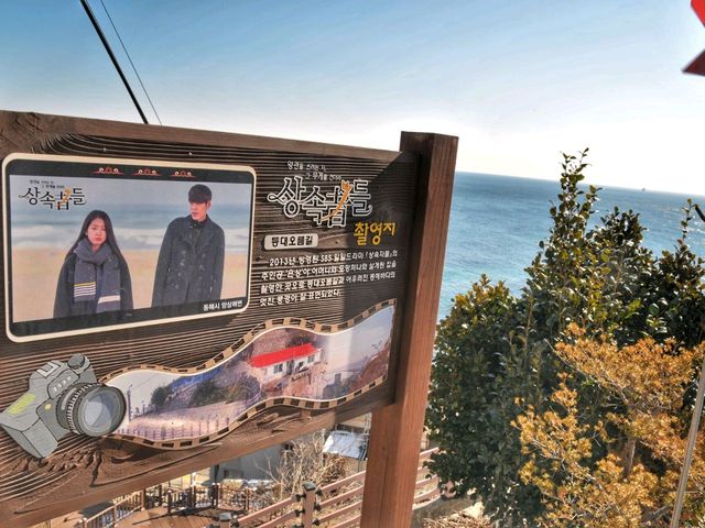 눈이 오면 더 예쁜 동해 묵호항 논골담길🤍