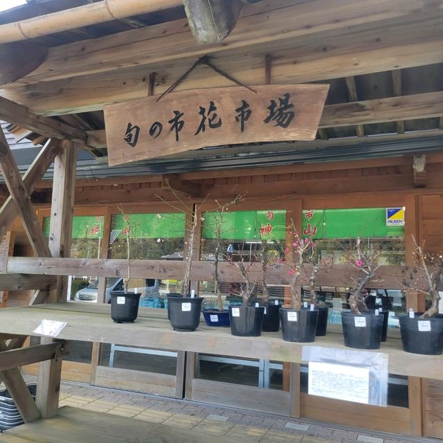 【神山町】道の駅　神山町