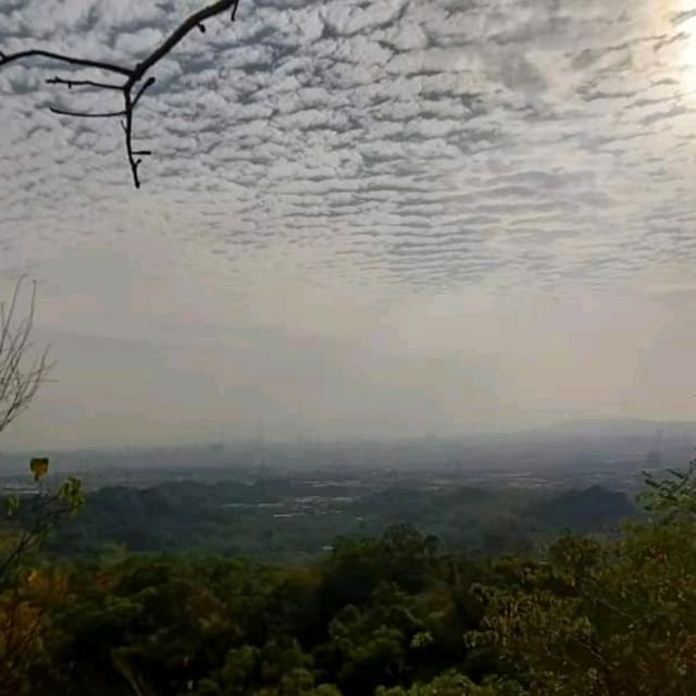 高雄高崎山