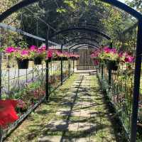 Bee & Rose café