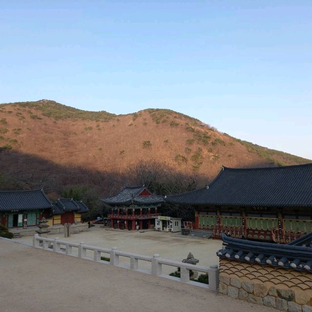 釜山泛魚寺