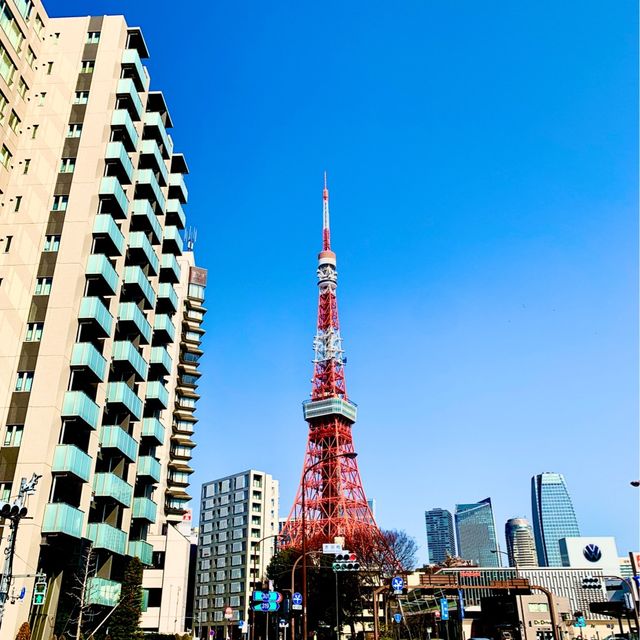 Tokyo tower Stunning views