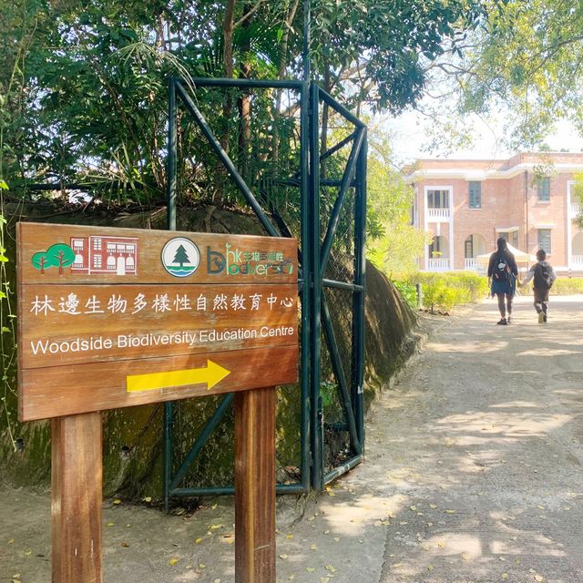 栢架山道自然徑➡️大潭水塘➡️淺水灣 栢架山道自然徑➡️大潭水塘➡️淺水灣