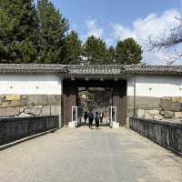 日本特別史蹟 - 名古屋城看傳統城堡！