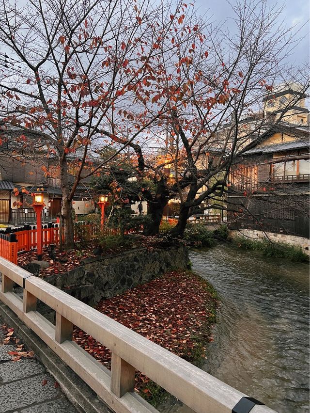 교토 당일치기 여행 #2 ⛩️여우신사, 🎎기온거리,🥢맛집