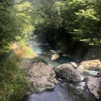 【四国】にこ淵