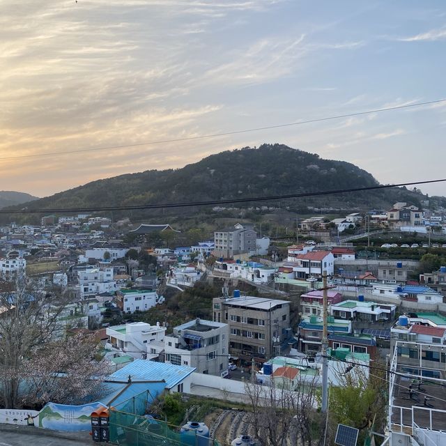 동피랑 마을이 한눈에 보이는 카페, 루미노소 💙