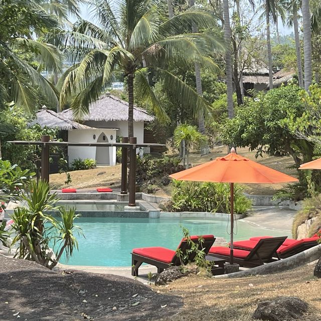 Jungle Club samui 