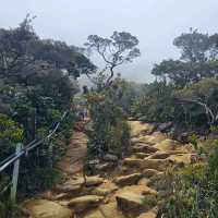 The amazing of mount Kinabalu 