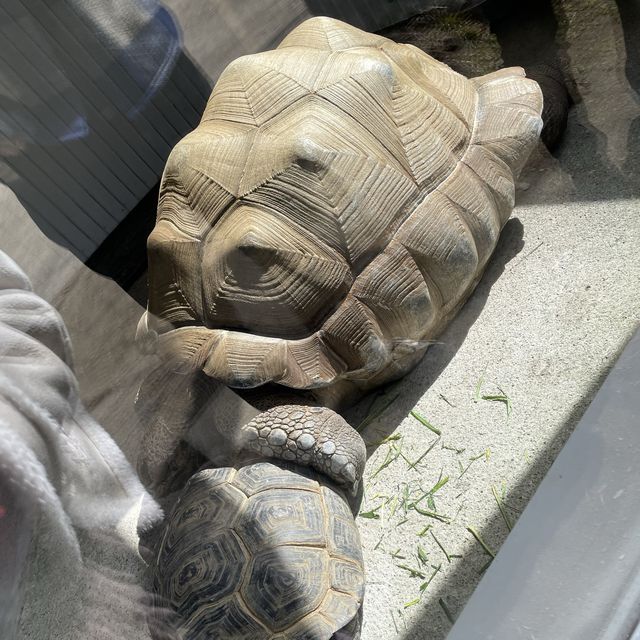 【長野県/長野市城山動物園と遊園施設】