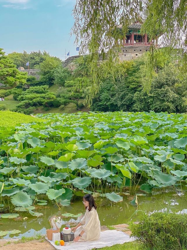 초록으로 가득 찬 여름의 방화수류정🍃