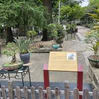 Luís de Camões Plant Nursery