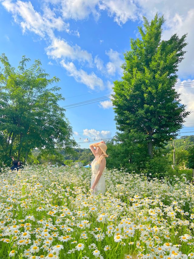 강원도 원주 사진정원🌼