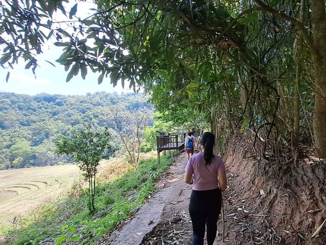 🍃 Nature Trail at Doi Inthanon Chiang Mai🚶‍♀️