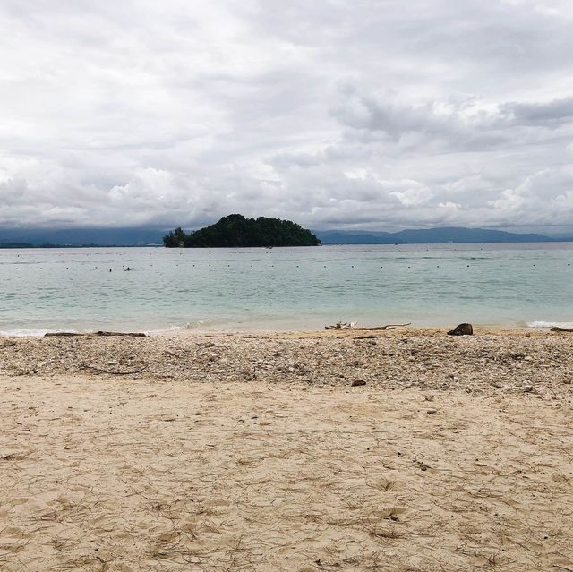 馬來西亞🇲🇾沙巴馬努干島🏝️島上野生動物🦎巨大蜥蜴🦎