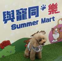盛夏Pets Park 遊樂園