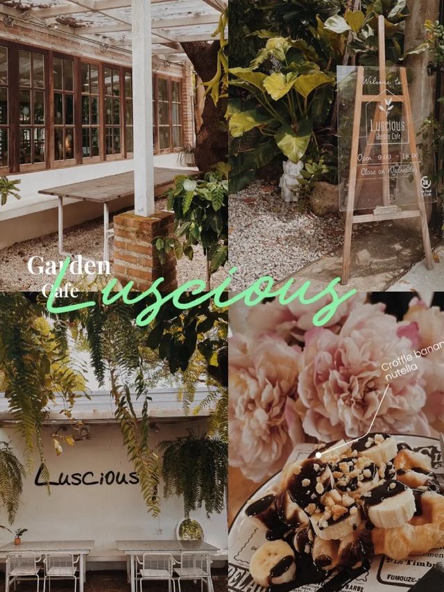 Luscious Garden Cafes • คาเฟ่มู้ดเขียวๆ 🪴⛲️🌿🩵