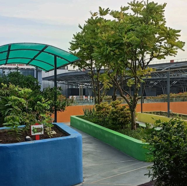 Rooftop Community Garden 