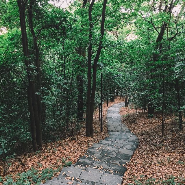遊廣州📍輕鬆行白雲山登山徑